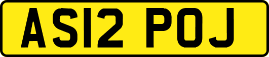 AS12POJ