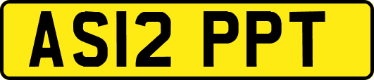 AS12PPT