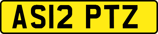 AS12PTZ