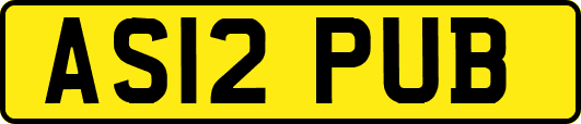 AS12PUB