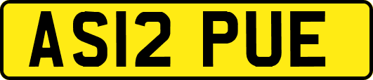AS12PUE