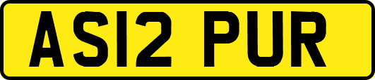 AS12PUR