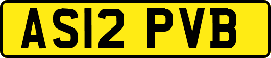 AS12PVB