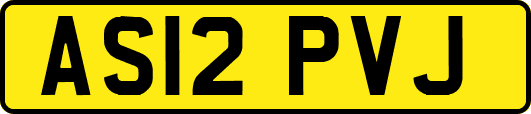 AS12PVJ