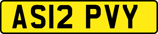 AS12PVY