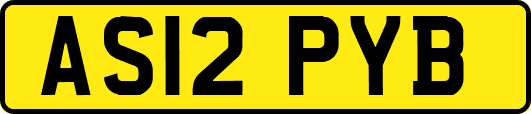 AS12PYB