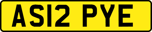 AS12PYE