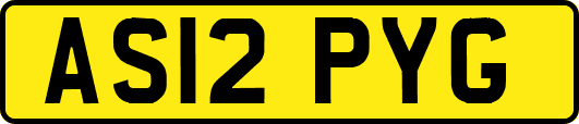AS12PYG