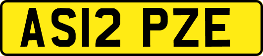 AS12PZE