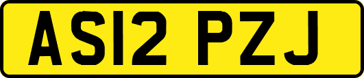 AS12PZJ