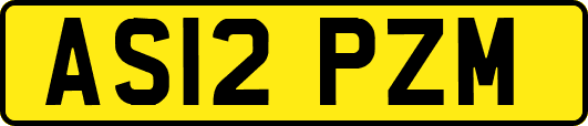 AS12PZM