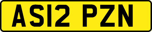 AS12PZN