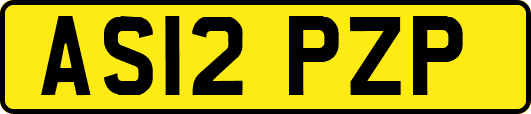AS12PZP