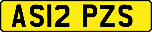 AS12PZS