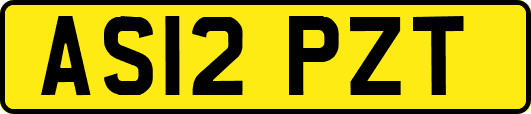 AS12PZT