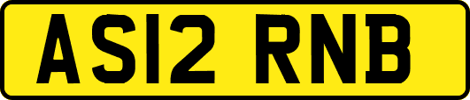 AS12RNB