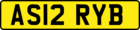 AS12RYB
