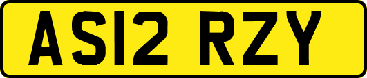 AS12RZY