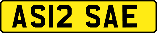 AS12SAE