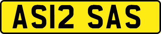 AS12SAS