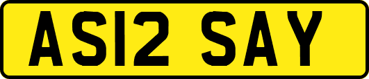 AS12SAY
