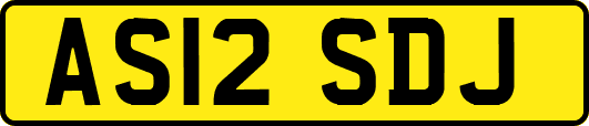 AS12SDJ