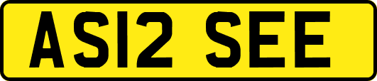 AS12SEE