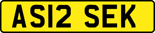 AS12SEK