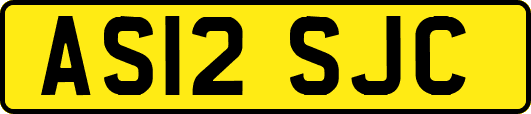 AS12SJC