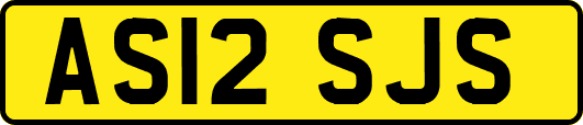 AS12SJS