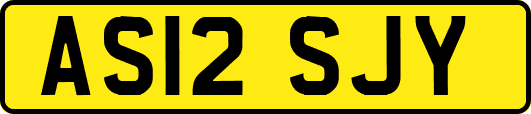 AS12SJY