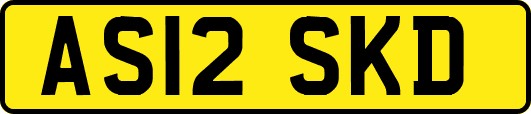 AS12SKD