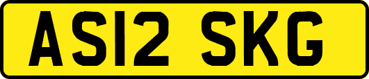 AS12SKG