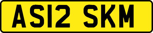 AS12SKM