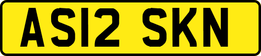 AS12SKN