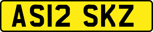 AS12SKZ