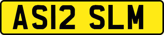 AS12SLM