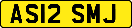 AS12SMJ