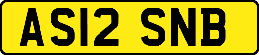 AS12SNB