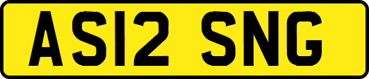 AS12SNG