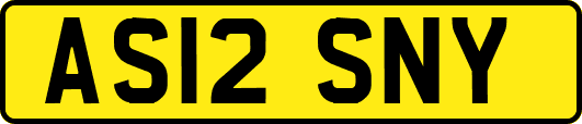 AS12SNY