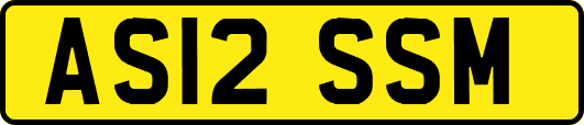 AS12SSM