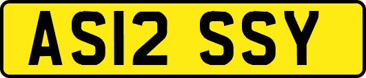 AS12SSY