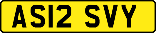 AS12SVY