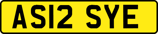 AS12SYE