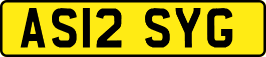 AS12SYG