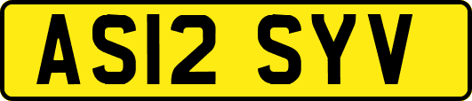 AS12SYV