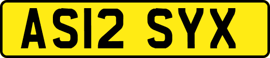 AS12SYX