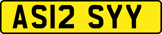 AS12SYY