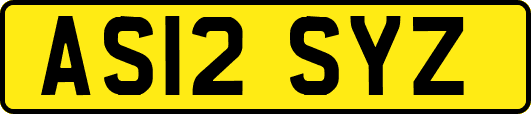 AS12SYZ